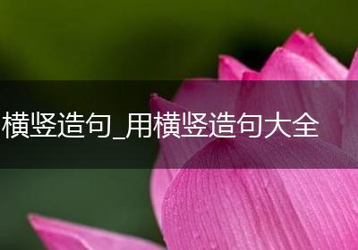 横竖造句_用横竖造句大全