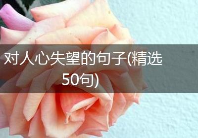 对人心失望的句子(精选50句)