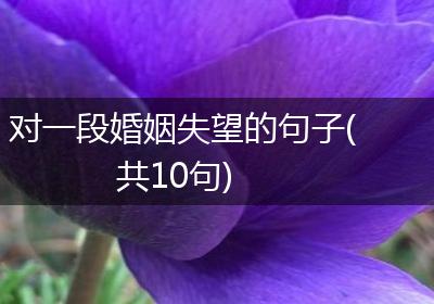 对一段婚姻失望的句子(共10句)