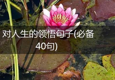 对人生的领悟句子(必备40句)