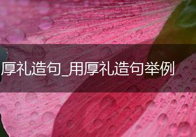 厚礼造句_用厚礼造句举例