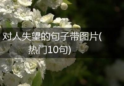 对人失望的句子带图片(热门10句)