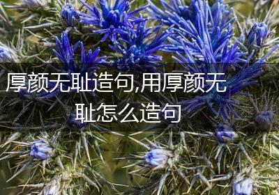 厚颜无耻造句,用厚颜无耻怎么造句
