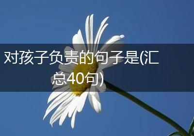 对孩子负责的句子是(汇总40句)