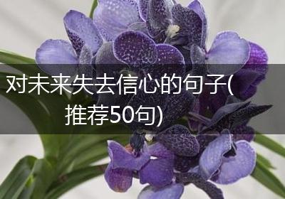 对未来失去信心的句子(推荐50句)