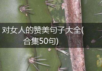 对女人的赞美句子大全(合集50句)