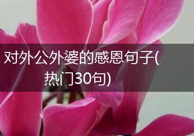 对外公外婆的感恩句子(热门30句)