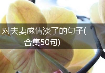 对夫妻感情淡了的句子(合集50句)