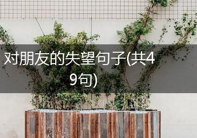 对朋友的失望句子(共49句)