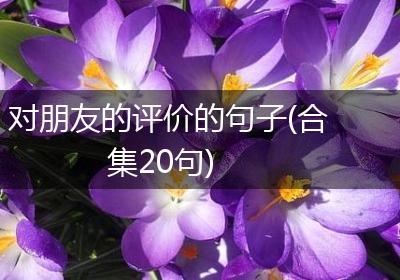 对朋友的评价的句子(合集20句)