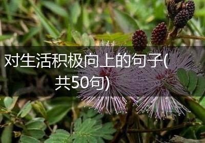 对生活积极向上的句子(共50句)