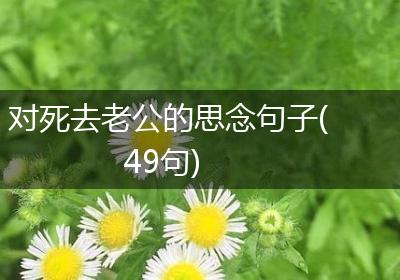 对死去老公的思念句子(49句)