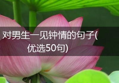 对男生一见钟情的句子(优选50句)