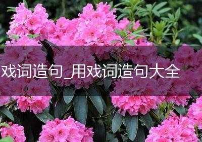 戏词造句_用戏词造句大全