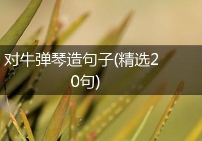 对牛弹琴造句子(精选20句)