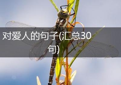 对爱人的句子(汇总30句)