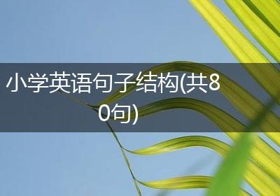 小学英语句子结构(共80句)