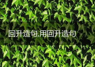 回升造句,用回升造句