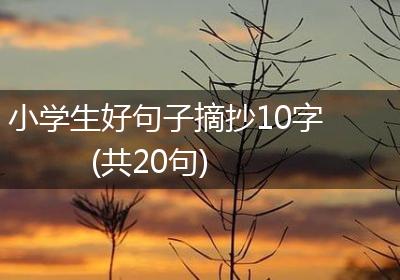 小学生好句子摘抄10字(共20句)