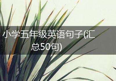 小学五年级英语句子(汇总50句)