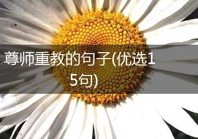 尊师重教的句子(优选15句)