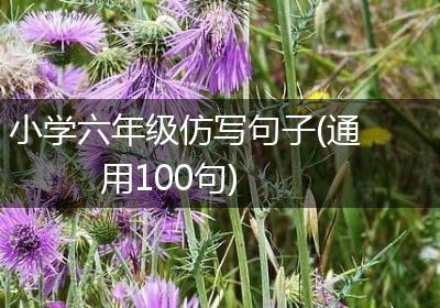 小学六年级仿写句子(通用100句)