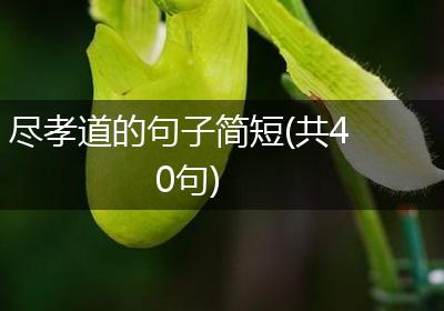尽孝道的句子简短(共40句)