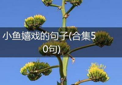 小鱼嬉戏的句子(合集50句)