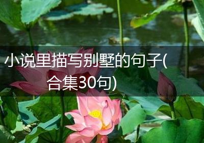小说里描写别墅的句子(合集30句)