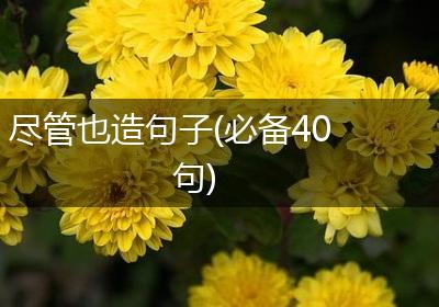 尽管也造句子(必备40句)