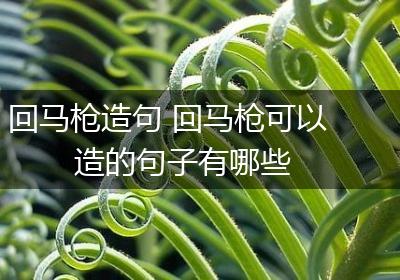 回马枪造句 回马枪可以造的句子有哪些