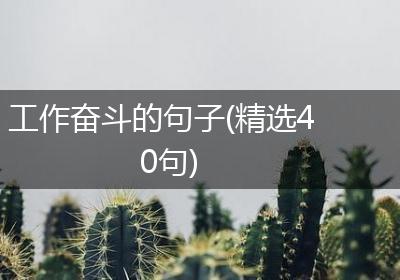 工作奋斗的句子(精选40句)