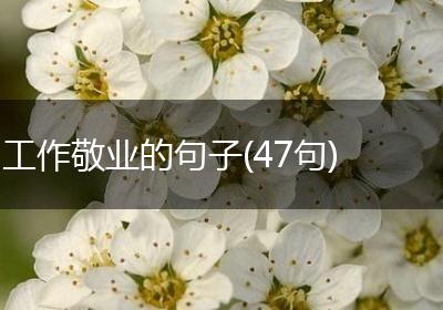 工作敬业的句子(47句)