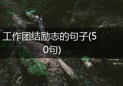 工作团结励志的句子(50句)
