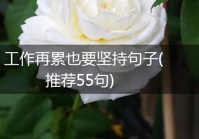 工作再累也要坚持句子(推荐55句)