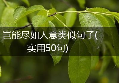 岂能尽如人意类似句子(实用50句)