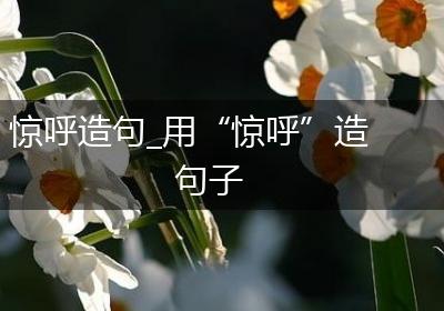 惊呼造句_用“惊呼”造句子