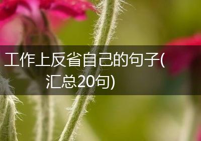 工作上反省自己的句子(汇总20句)