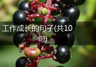 工作成长的句子(共10句)