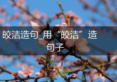 皎洁造句_用“皎洁”造句子