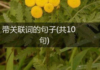 带关联词的句子(共10句)