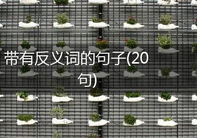 带有反义词的句子(20句)