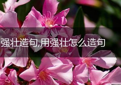 强壮造句,用强壮怎么造句
