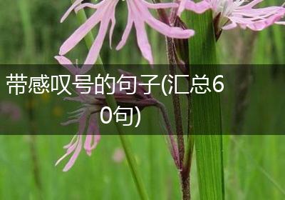 带感叹号的句子(汇总60句)