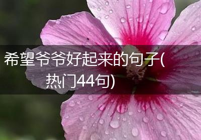 希望爷爷好起来的句子(热门44句)