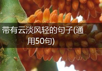 带有云淡风轻的句子(通用50句)