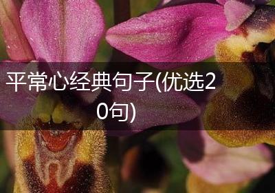 平常心经典句子(优选20句)