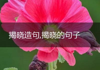 揭晓造句,揭晓的句子