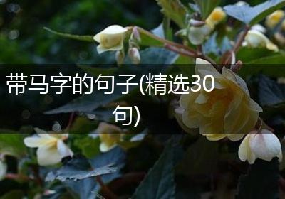 带马字的句子(精选30句)