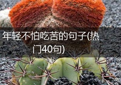 年轻不怕吃苦的句子(热门40句)